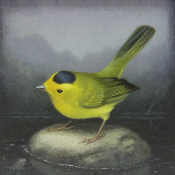 Susan McDonnell, Wilson's Warbler, 2017