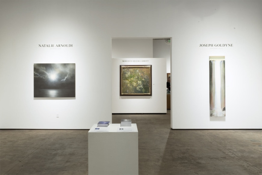 Installation photograph of NATALIE ARNOLDI: Water &amp; Light and JOSEPH GOLDYNE: Imaginary Falls