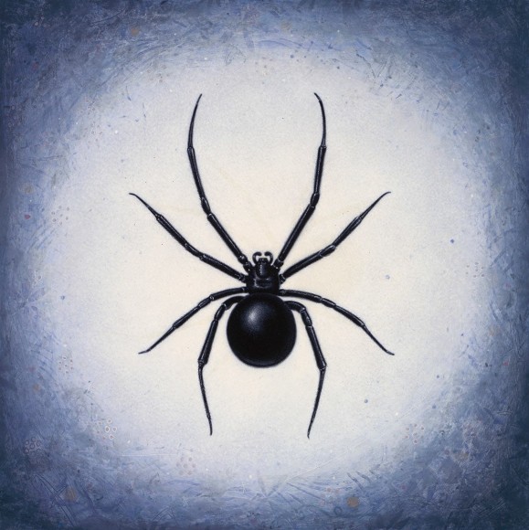 Susan McDonnell, Black Widow, 2018