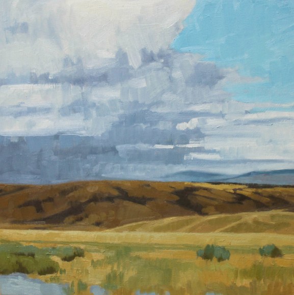 Nicole Strasburg, Grapevine 5, October 2015