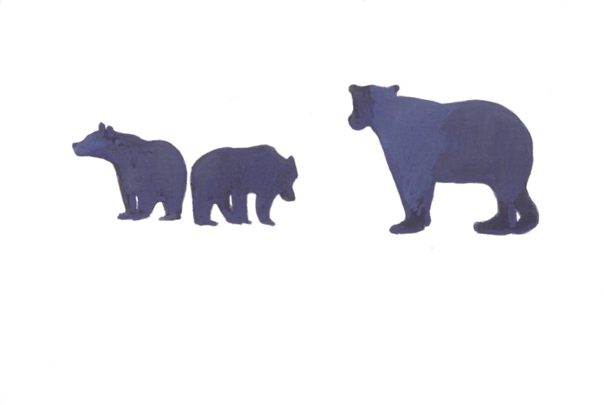 Nicole Strasburg, Katmai 25, 2018