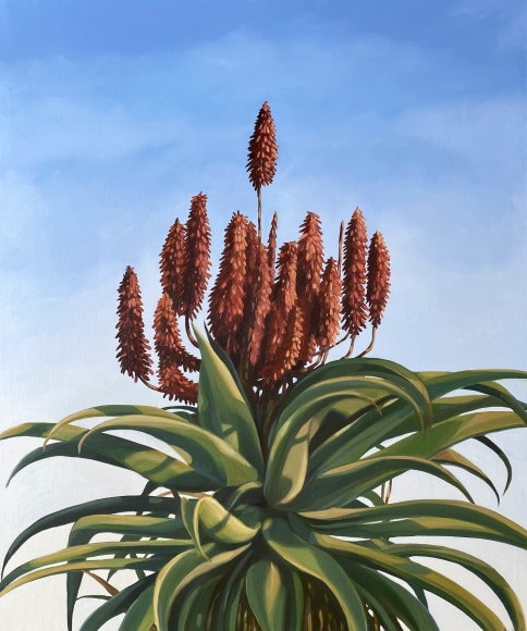AMBER O'NEILL , Majestic Aloe, 2022