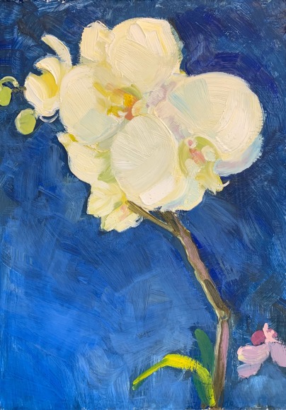 DEBORAH VELDKAMP , Orchids, 2020