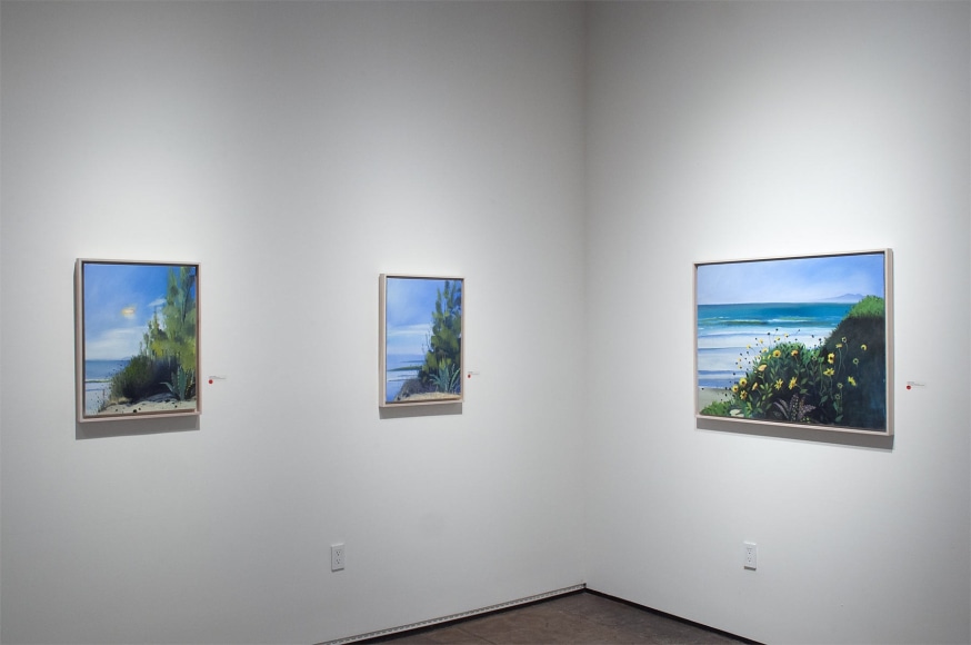 Installation photograph of HANK PITCHER: Just Now