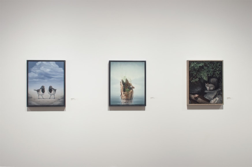 Installation photograph of SUSAN McDONNELL: A Quite Nature