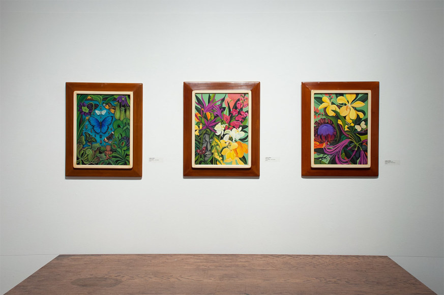 Installation shot of ANGELA PERKO: Just Another Pretty Picture with Amazon, Maya, and Mbashe River Buff