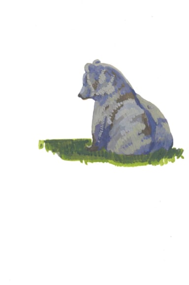 Nicole Strasburg, Katmai 28, 2018