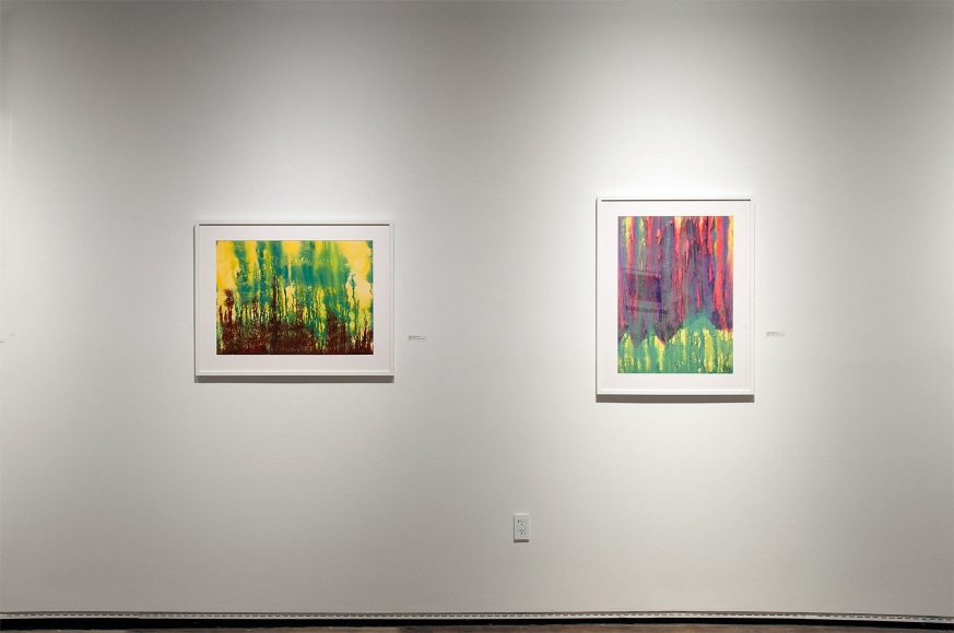 Installation photograph of THE INCREDIBLE TRUE STORY OF HARVEY LEEPA