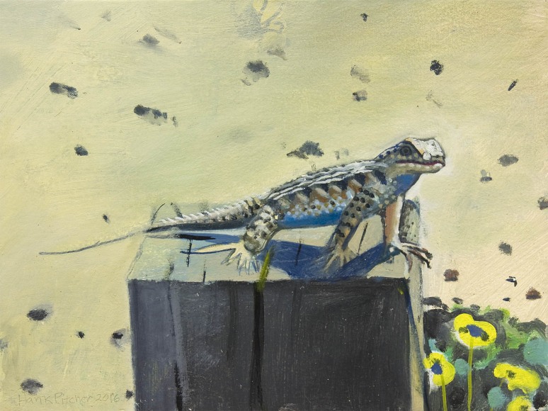 Hank Pitcher, Blue Belly Lizard, 2016