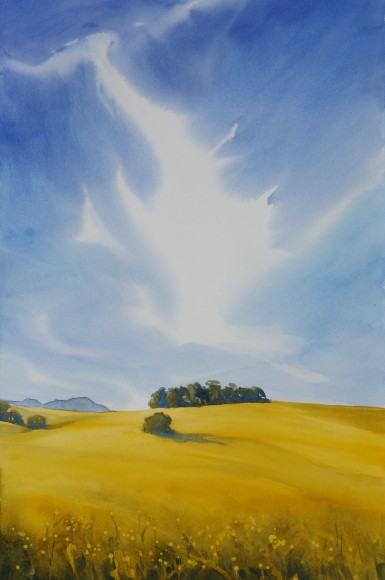 CHRIS CHAPMAN , Gaviota Spring,