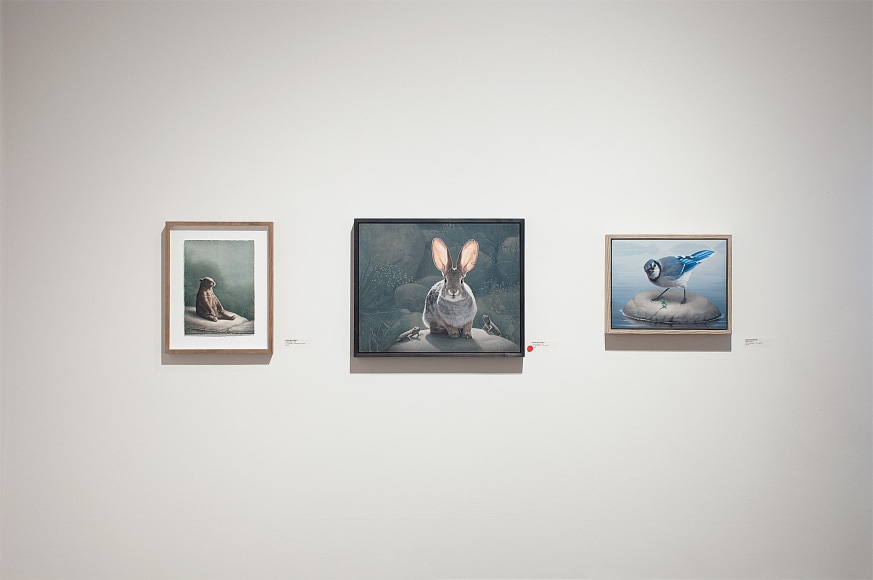 Installation photograph of SUSAN McDONNELL: A Quite Nature