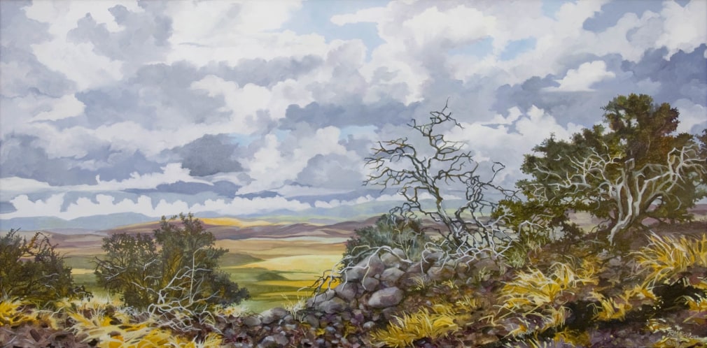 ROBIN GOWEN , Looking Into Surprise Valley, 2017