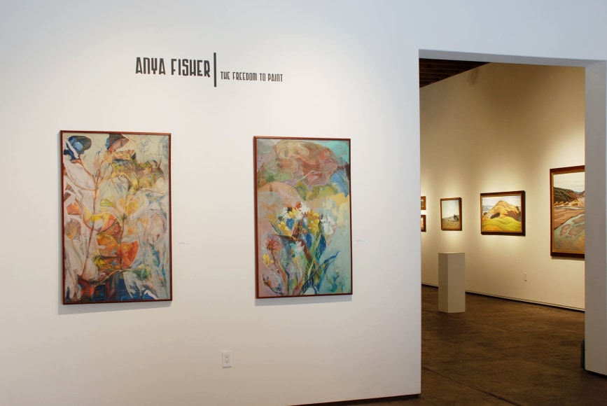 ANYA FISHER: The Freedom to Paint, 2014 installation shot