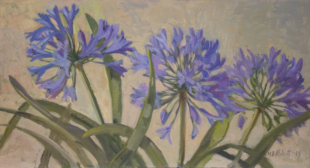 MEREDITH BROOKS ABBOTT, Agapanthas, 2019