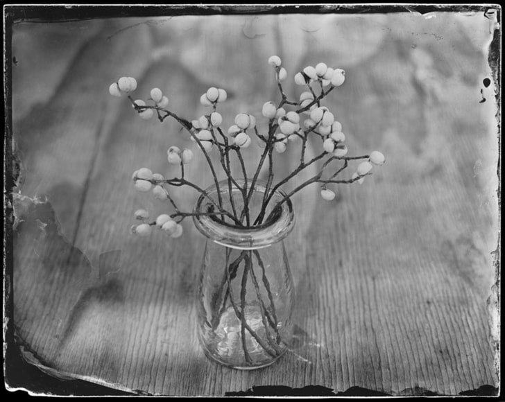 SARA YERKES , Tallow Berries, 2022