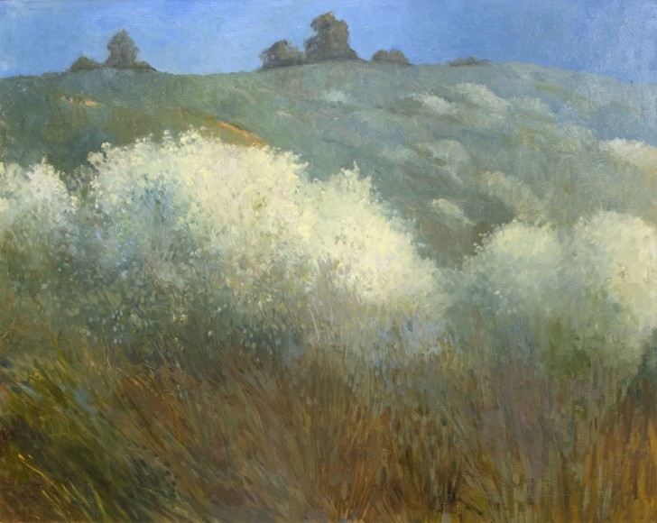 MEREDITH BROOKS ABBOTT , Grand White Ceonothus, 2022