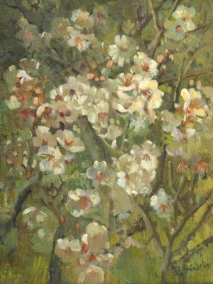 Meredith Brooks Abbott, Almond Blossoms, 2016
