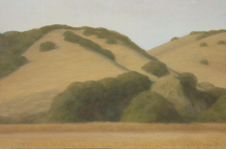 SARAH VEDDER, The Gold Hills, 2006