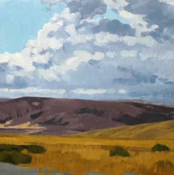 Nicole Strasburg, Grapevine 2, October 2015