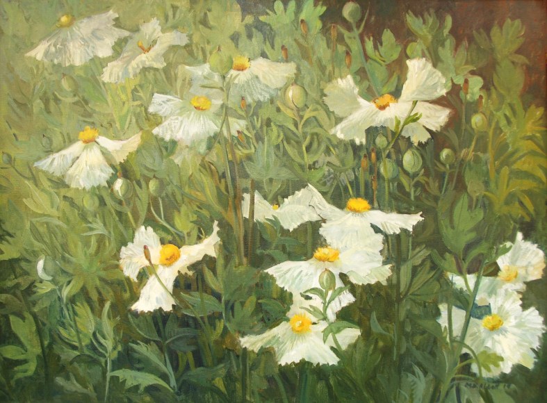 MEREDITH BROOKS ABBOTT , Matilija Poppies (Large), 2014