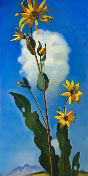 HANK PITCHER, Arnica and Cloud, Telluride, 2018