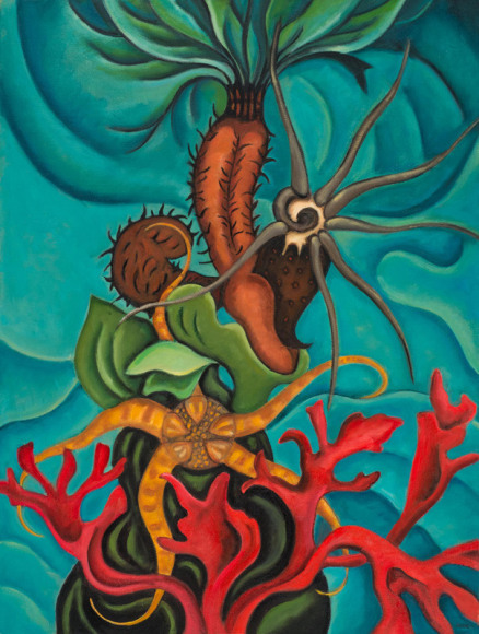 Angela Perko, Holothurians and Sea Star, 2017