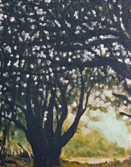 JON NG , Shade Tree, 2019