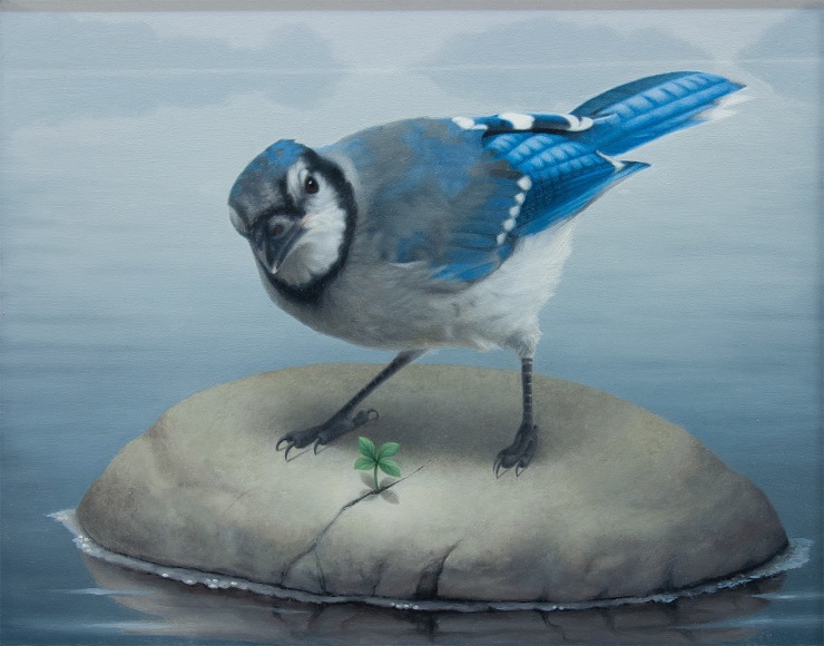 SUSAN MCDONNELL, Blue Jay, 2019