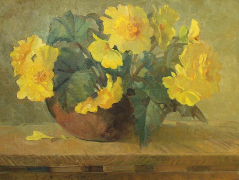 Meredith Brooks Abbott, Yellow Begonias , 2016