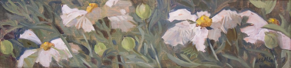MEREDITH BROOKS ABBOTT, Matilija Poppies, 2019