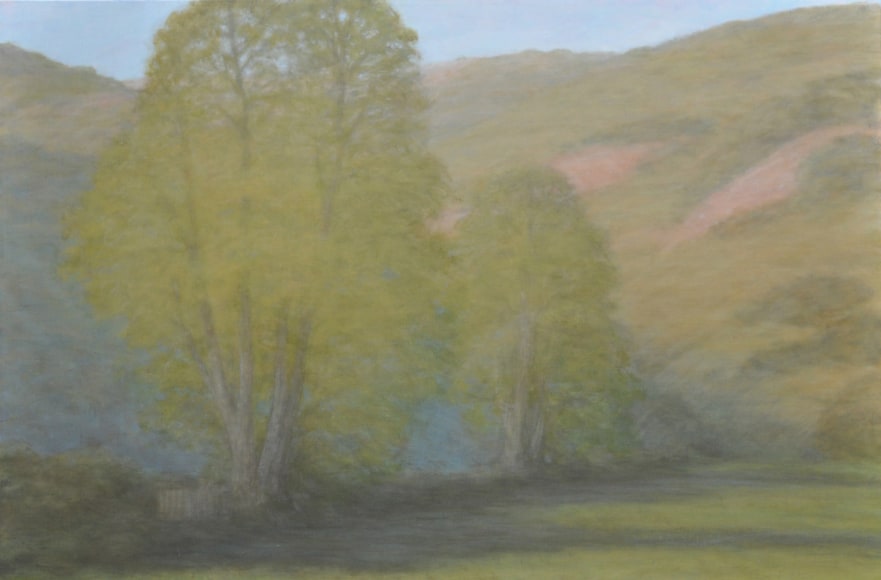SARAH VEDDER , Sycamores in the Canyon - Carpinteria Creek, 2019