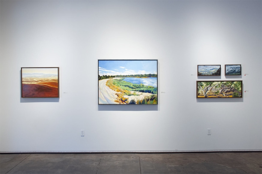 Installation photograph of ROBIN GOWEN: Sight Lines, 2021