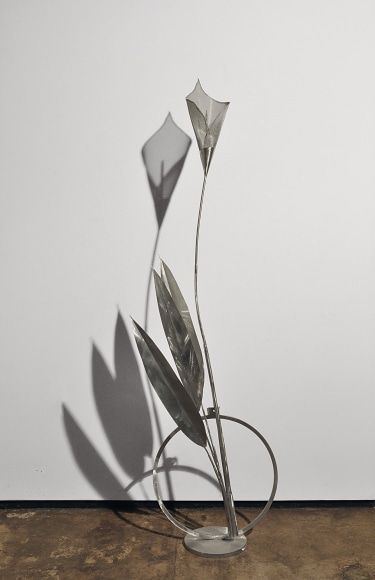 Ken Bortolazzo, Calla Lilly with Leaves, 2016