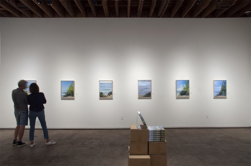 Installation photograph of HANK PITCHER: Just Now