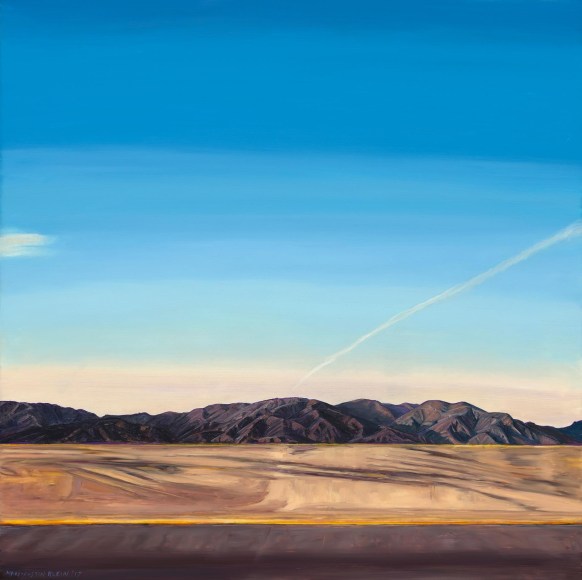 MARY-AUSTIN KLEIN , Taking Flight - 118 Freeway Interchange, 2022