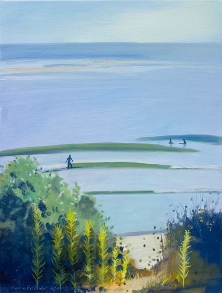 HANK PITCHER , Quail Bush and Erigeron Canadensis (Marestail), 2020