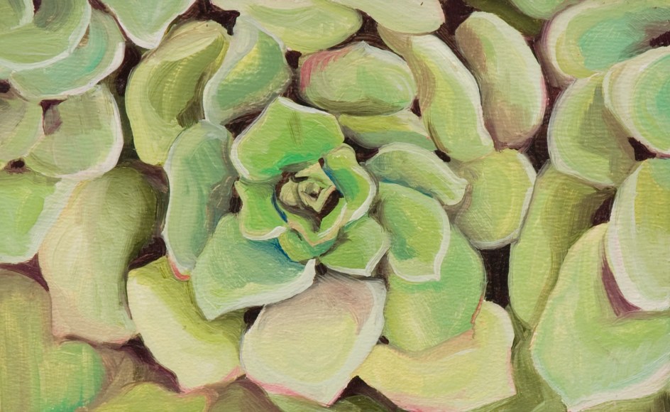 ROBIN GOWEN , Succulent