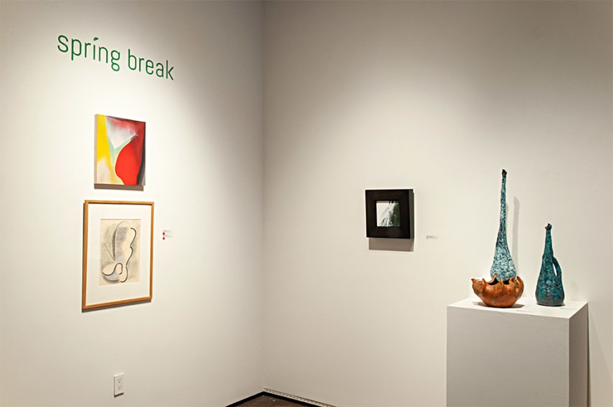 Spring Break, 2018, Maria Rendon, Elise Seeds, Joseph Goldyne, James Haggerty