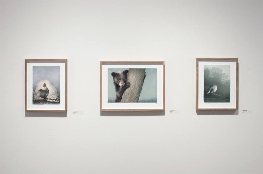 Installation photograph of SUSAN McDONNELL: A Quite Nature