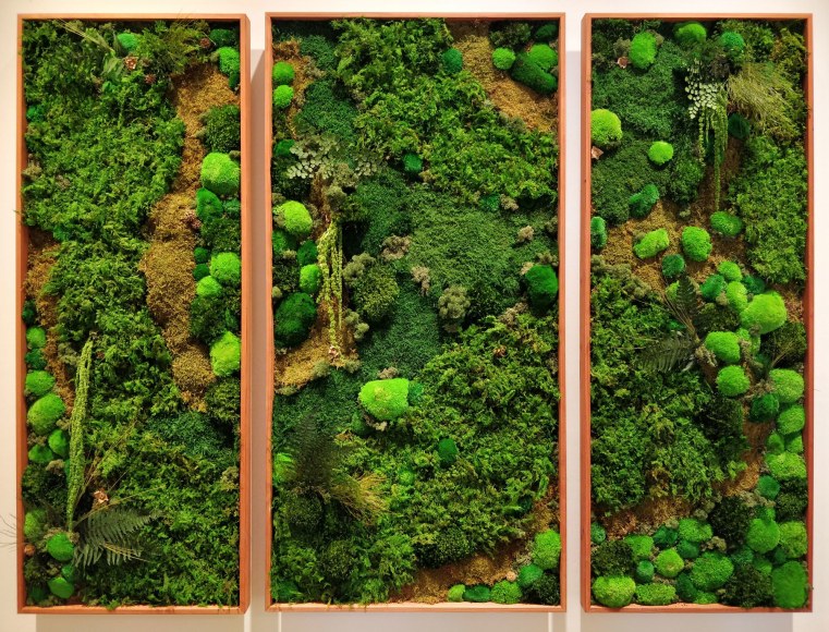 Terra Basche, Lush Wall, 2018