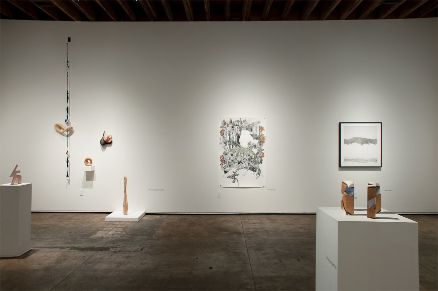 Installation shot of U.C.S.B. M.F.A. 20/20 Exhibition with piece by Nathan Hayden, Elisa Ortega Montilla, Ann Diener, Eric Beltz, and R. Nelson Parrish