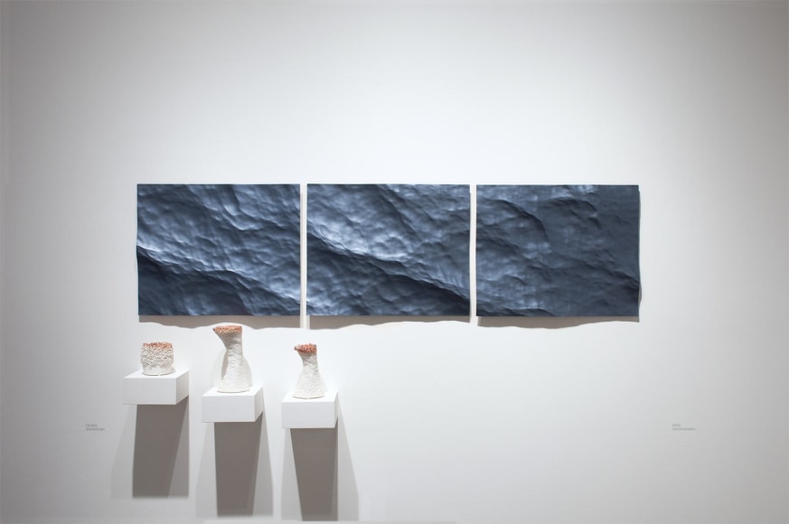 Installation photograph of ORGANIC: Textural &amp; Biomorphic &bull; Abstract &amp; Conceptual: Clay, Wood, Fiber, Paper &amp; Metal, Lynda Weinman, Alex Rasmussen