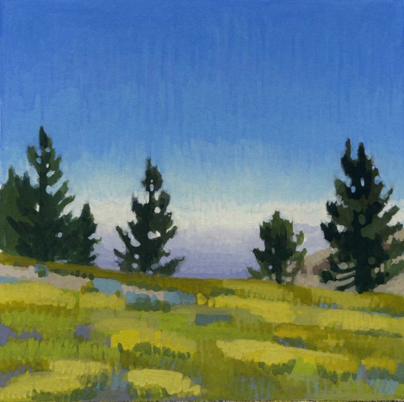 NICOLE STRASBURG , Mt. Pinos, 2015