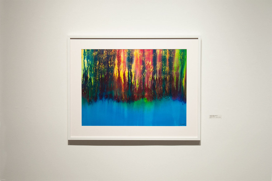 Installation photograph of THE INCREDIBLE TRUE STORY OF HARVEY LEEPA