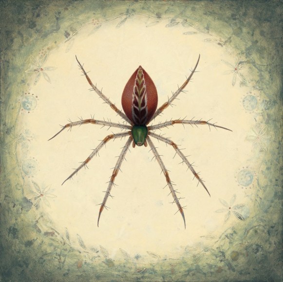 Susan McDonnell, Garden Spider, 2018