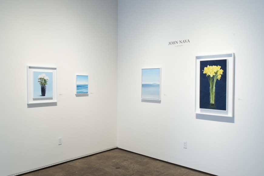 Installation photograph of JOHN NAVA: Florimar