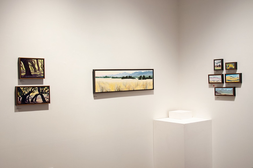 ROBIN GOWEN: New Winds installation photograph