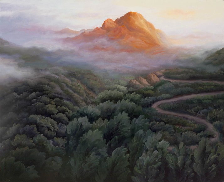 Phoebe Brunner, Trail