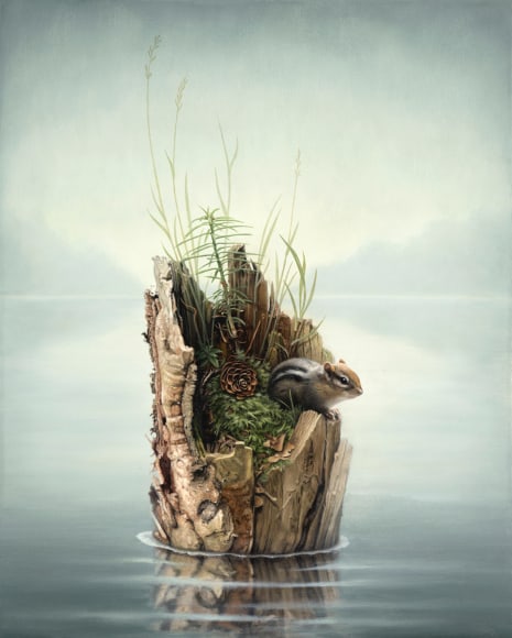 SUSAN McDONNELL, Chipmunk, 2020