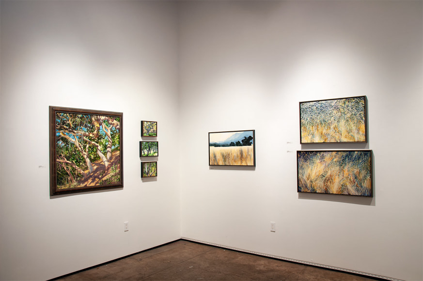 ROBIN GOWEN: New Winds installation photograph